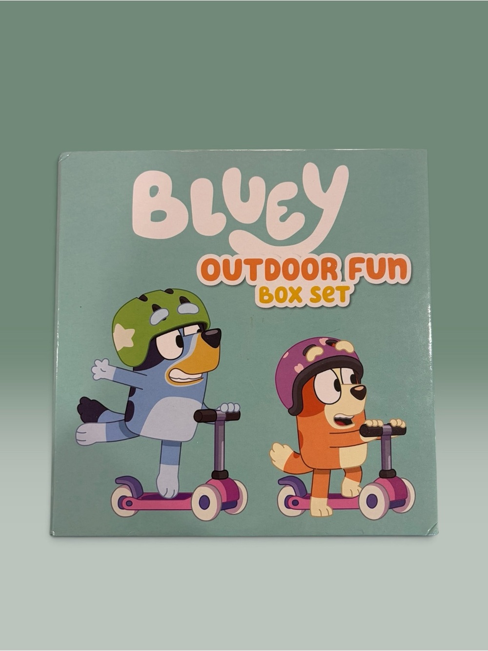 Bluey Outdoor Fun Box Set